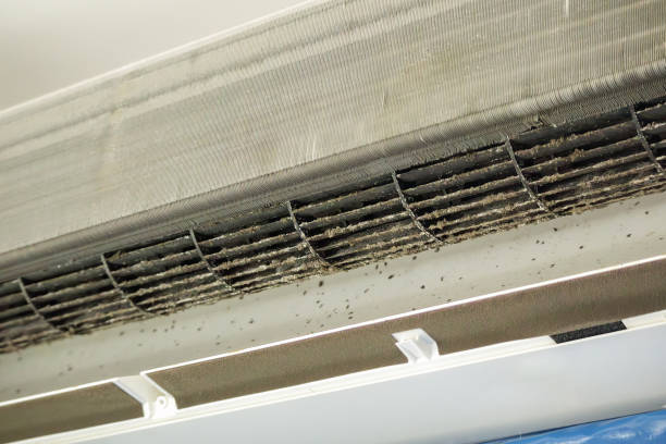 Best Air Duct Cleaning Near Me  in Prosper, TX